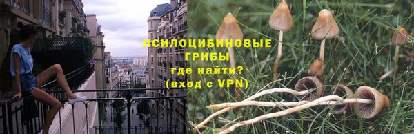 гидропоника Каменногорск