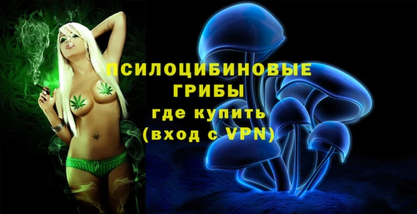 PSILOCYBIN Каменск-Шахтинский