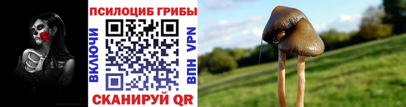 Галлюциногенные грибы ЛСД  Купить  Егорьевск 